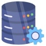 Data Analyst